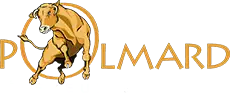 Entreprise 1